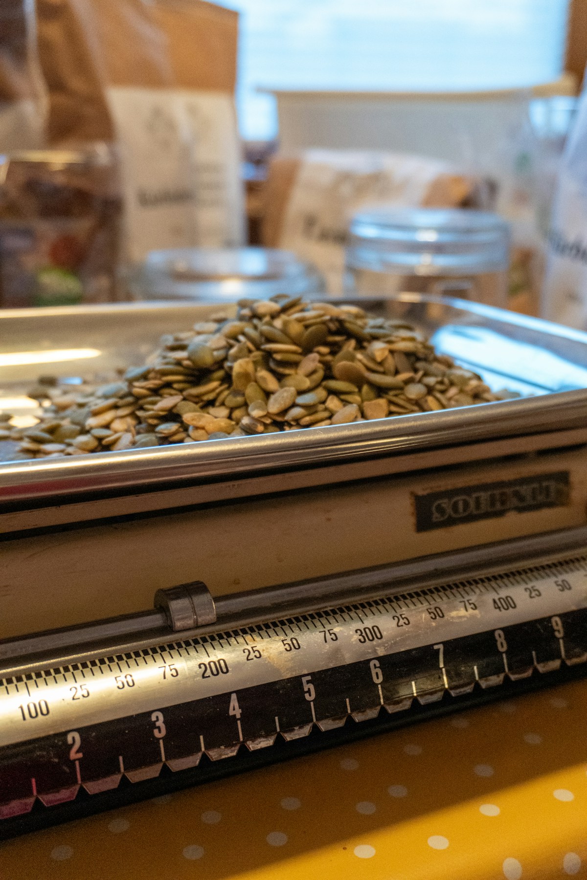 Pumpkin Seeds